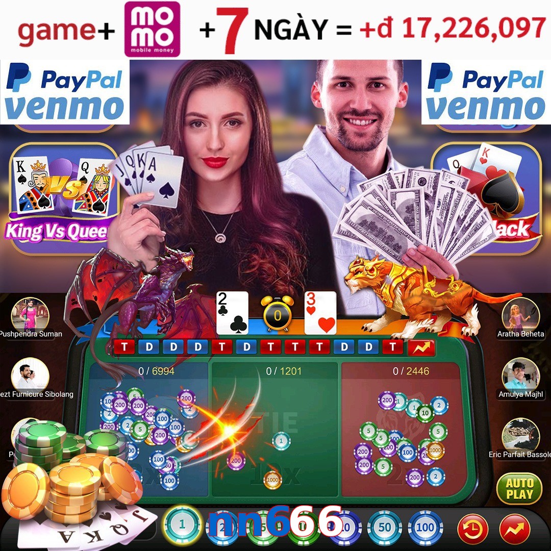 nn666